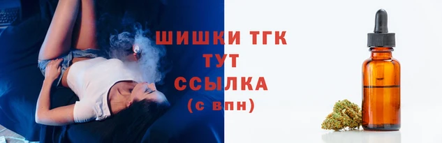дурь Бородино