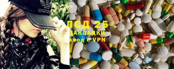 дурь Бородино