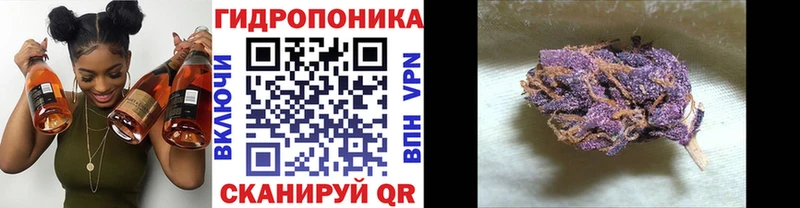 купить наркотики сайты  Демидов  Канабис White Widow 